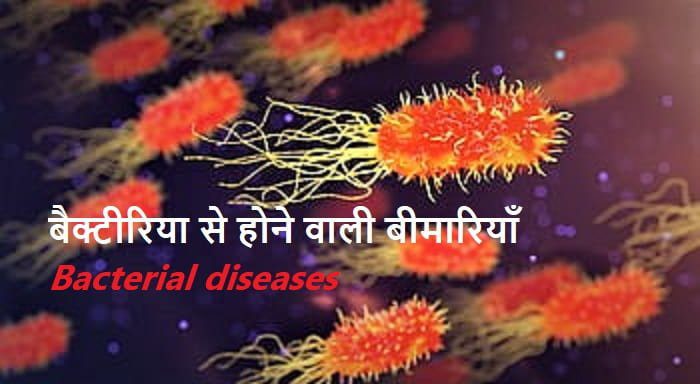 बैक्टीरिया से होने वाली बीमारियाँ - Bacterial diseases in Hindi