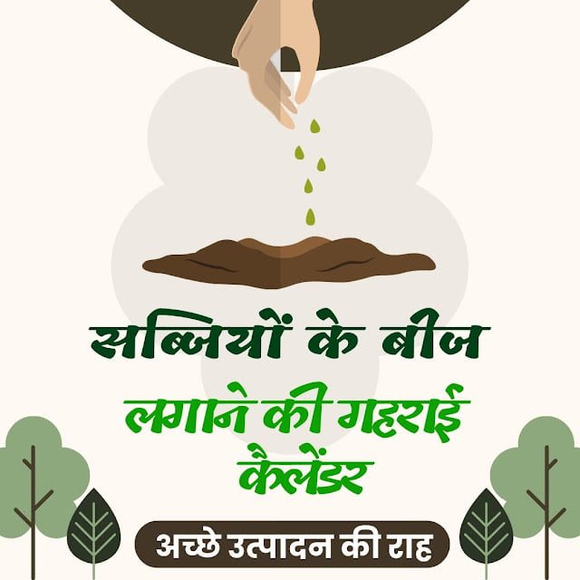 सब्जियों के बीज बोने की उचित गहराई का चार्ट या कैलेंडर - Vegetable Seed Planting Depth Chart in Hindi