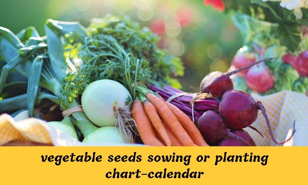vegetable seeds sowing or planting chart-calendar