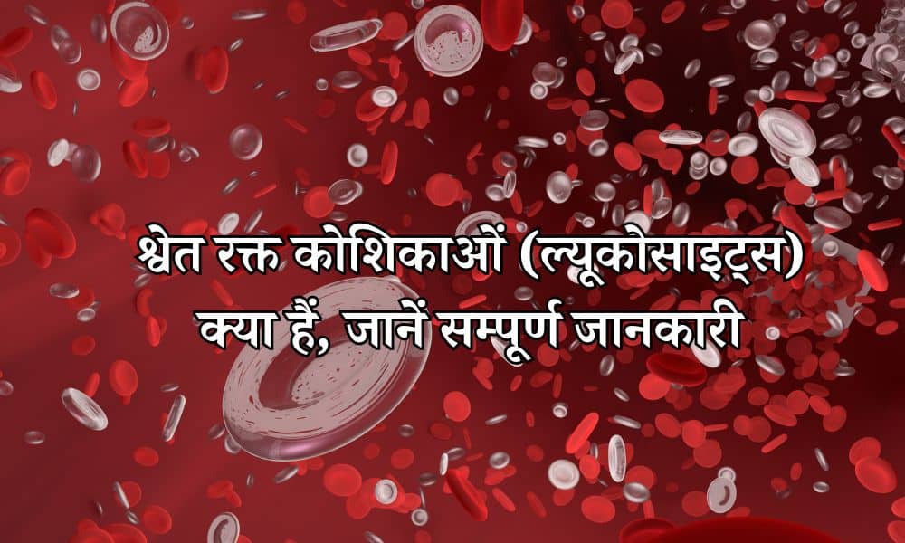 श्वेत रक्त कोशिकाएं (ल्यूकोसाइट्स) क्या हैं, जानें सम्पूर्ण जानकारी - White Blood Cells Complete Information in Hindi