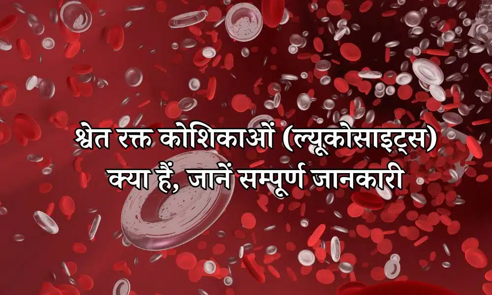 श्वेत रक्त कोशिकाएं (ल्यूकोसाइट्स) क्या हैं, जानें सम्पूर्ण जानकारी - White Blood Cells Complete Information in Hindi