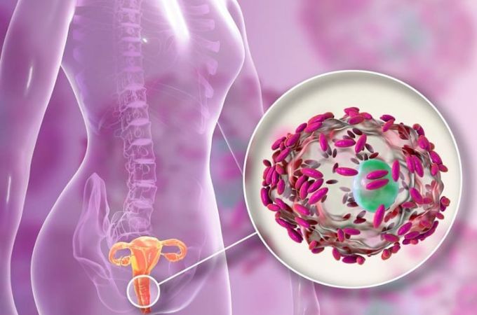 3. डीप फंगल इन्फेक्शन - Deep Fungal Infections In Hindi