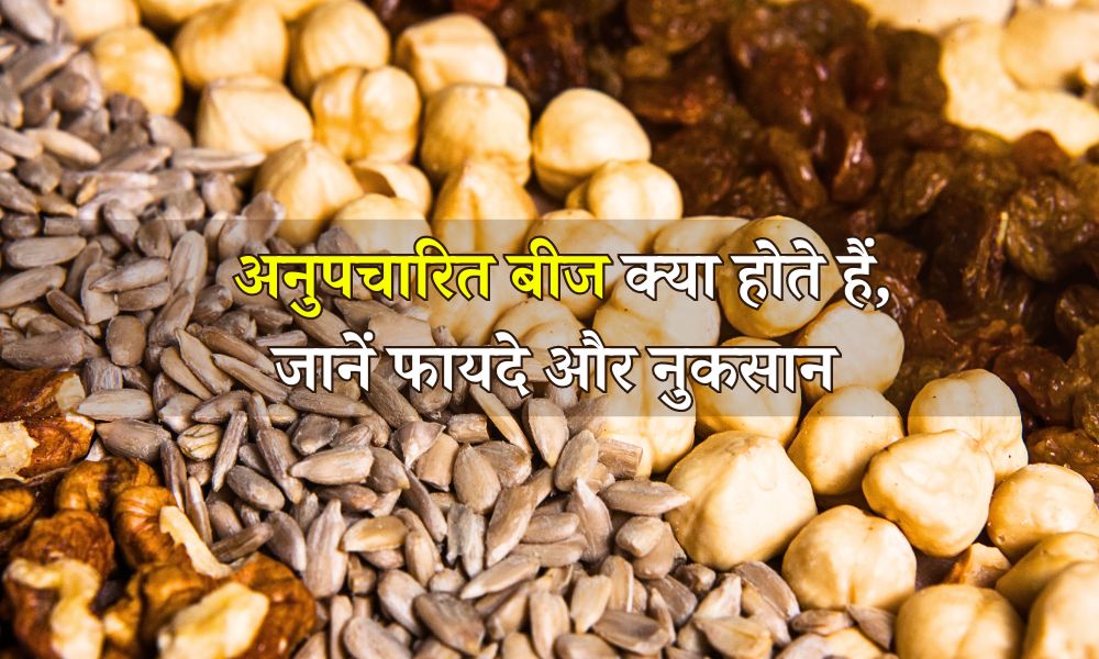 अनुपचारित बीज क्या होते हैं, जानें फायदे और नुकसान - Untreated Seeds: Benefits And Disadvantages In Hindi
