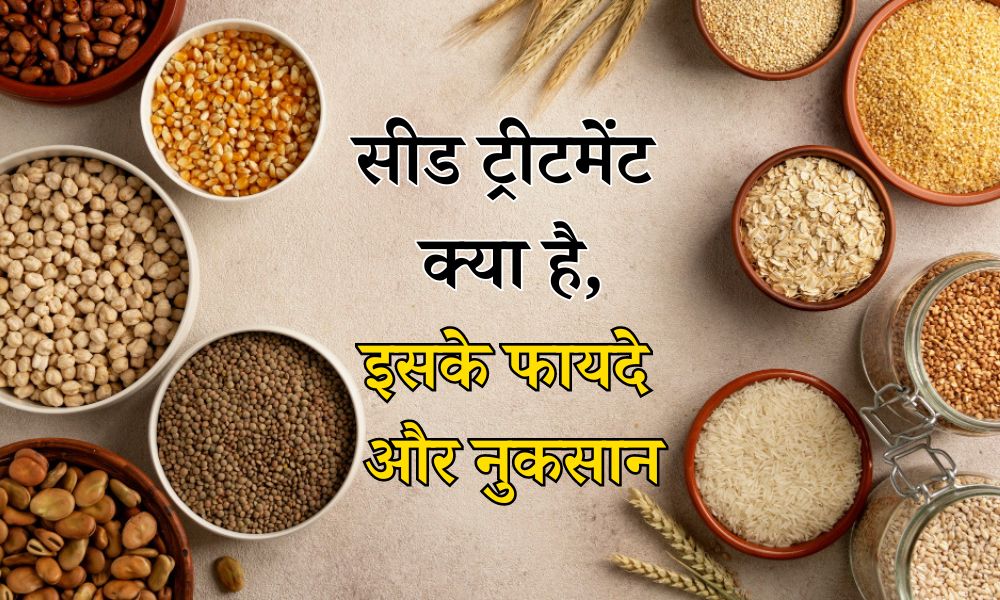 बीज उपचार क्या है, कैसे करें, इसके फायदे और नुकसान - What Is Seed Treatment: Types And Benefits In Hindi