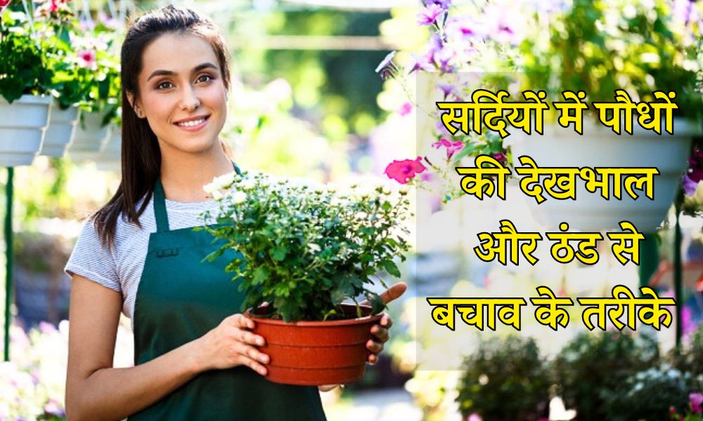सर्दियों में पौधों की देखभाल और ठंड से बचाव - How To Protect Plants From Frost During Winter In Hindi