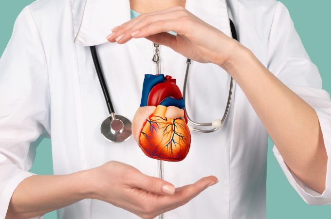 दिल से जुड़े रोचक तथ्य - Facts About The Heart in Hindi