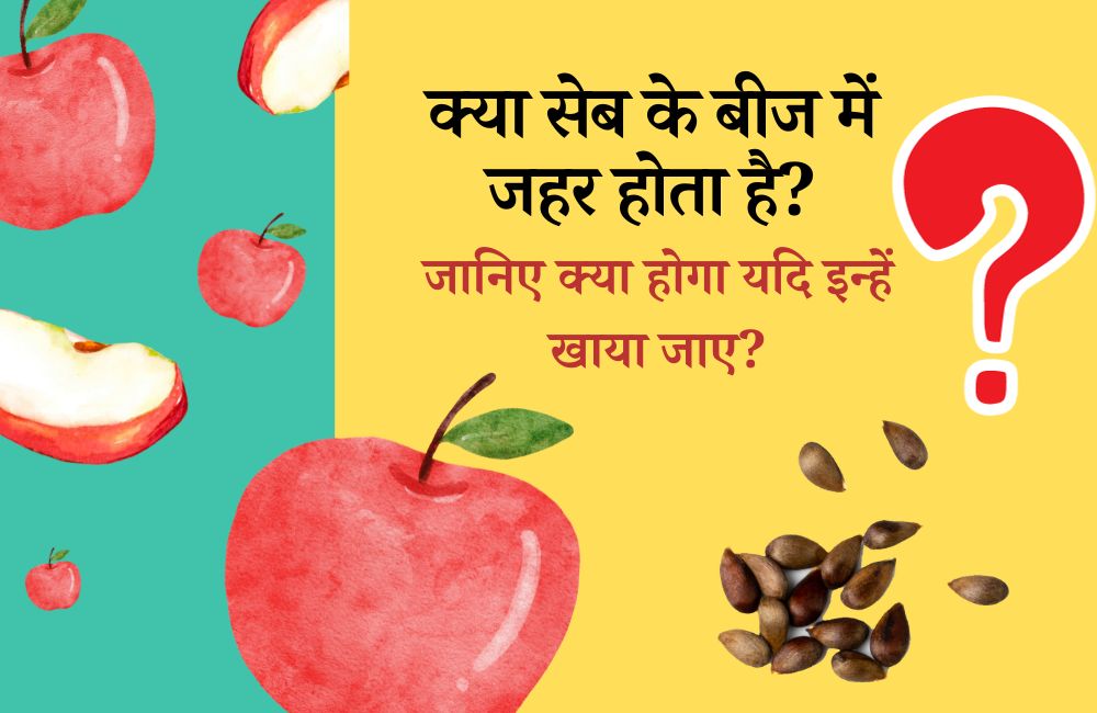क्या सेब के बीज में जहर होता है: क्या होगा यदि इन्हें खाया जाए? - Are Apple Seeds Poisonous In Hindi