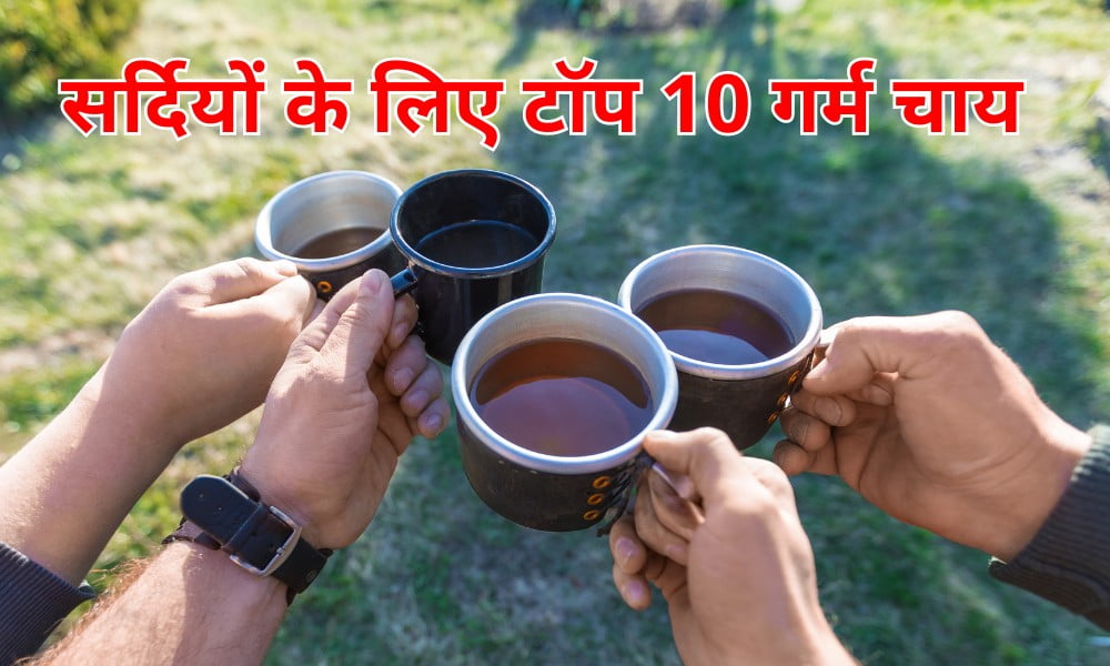 सर्दियों से बचना है तो घर पर बनाकर लें इन टॉप 10 गर्म चाय का आनंद - 10 Homemade Hot Tea To Drink In Winter In Hindi