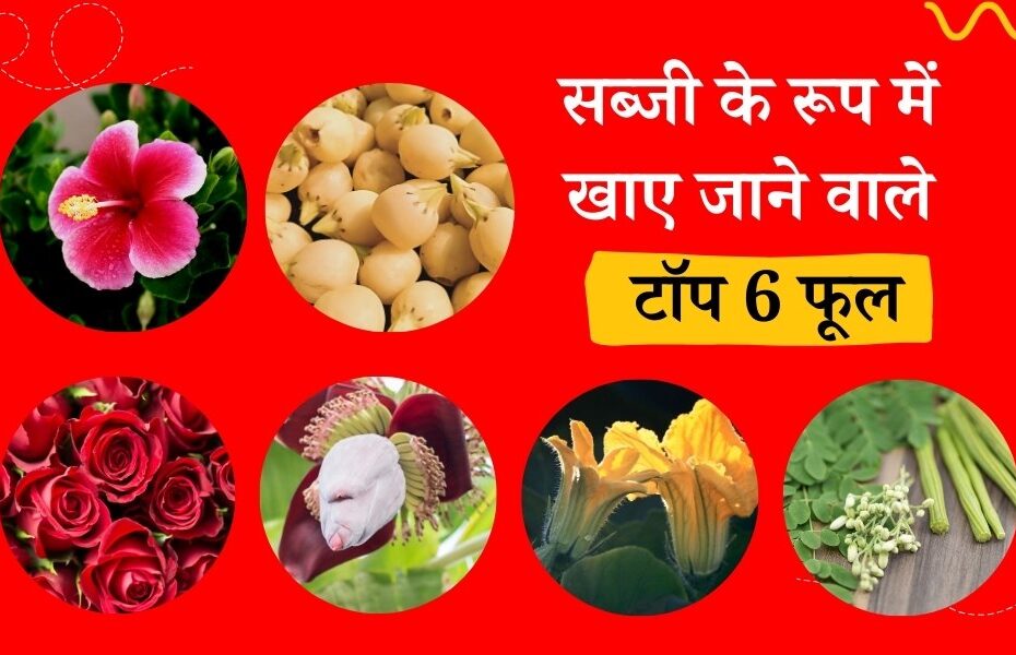 सब्जी के रूप में खाए जाने वाले टॉप 6 फूल - Top 6 Flowers We Eat As Vegetables For A Healthy Life in Hindi
