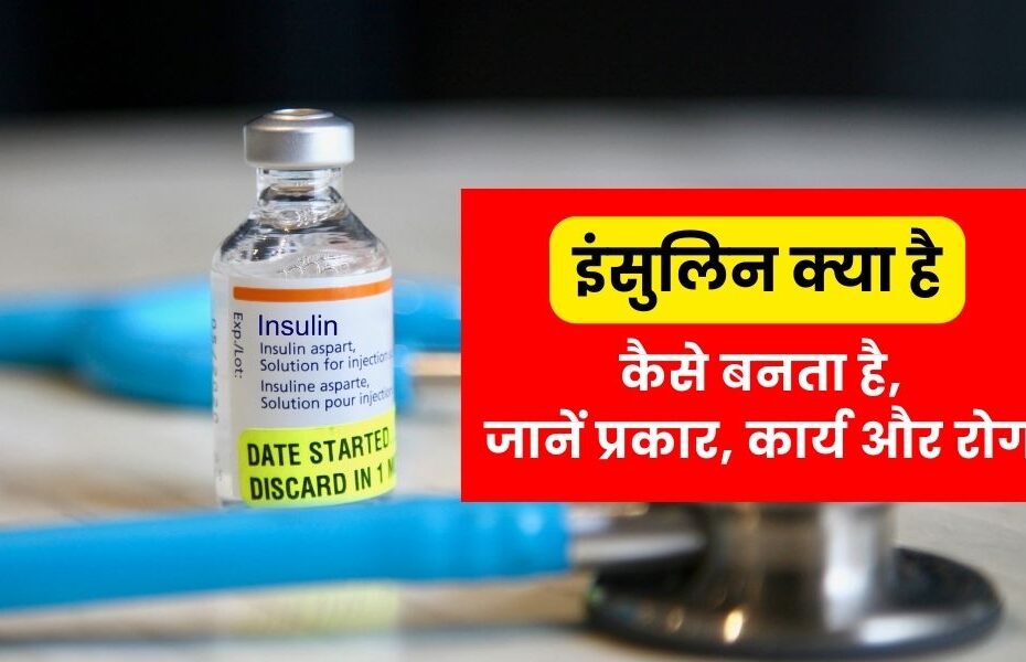 इंसुलिन क्या है, कैसे बनता है, प्रकार, कार्य, स्रोत और रोग - Insulin Types, Work, Source and Diseases in Hindi