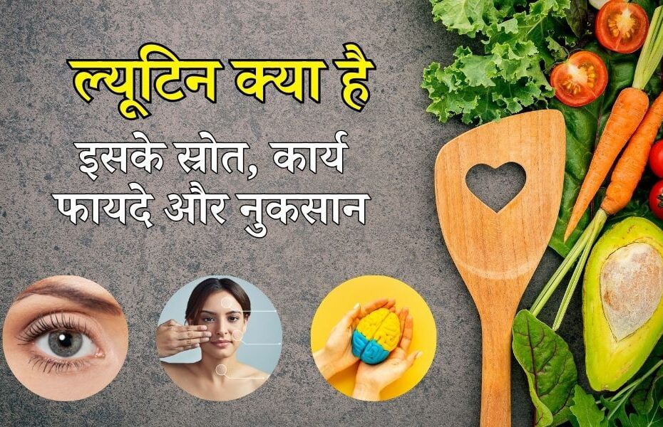 ल्यूटिन क्या है, इसके कार्य, फायदे, नुकसान और स्रोत - Lutein Benefits, Side Effects, And Foods In Hindi