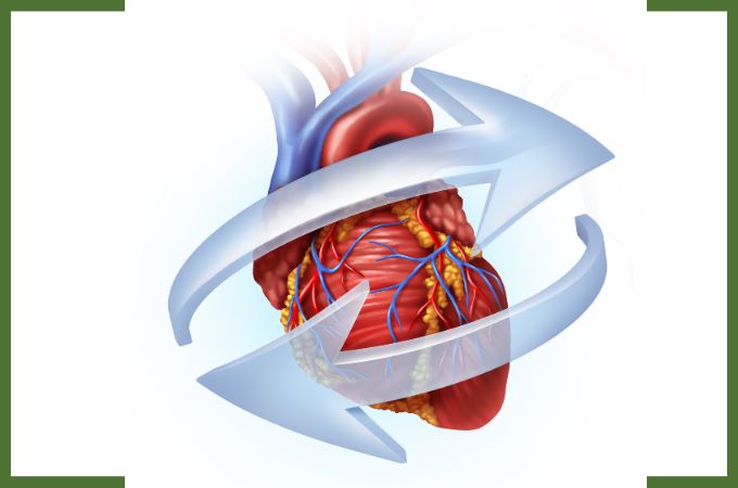 हार्ट हेल्थ के लिए ल्यूटिन का उपयोग - Lutein is Used for Heart Health in Hindi