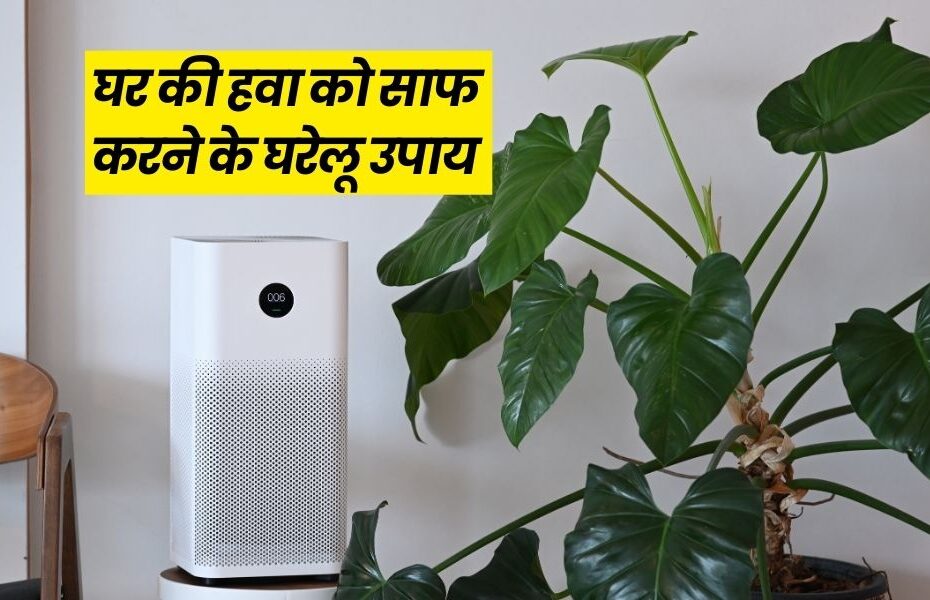 हवा की क्वालिटी में सुधार करने के घरेलू उपाय - How to Improve Air Quality in Home in Hindi