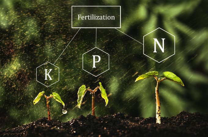 बायो फर्टिलाइजर के घटक - Components of Biofertilizers in Hindi 