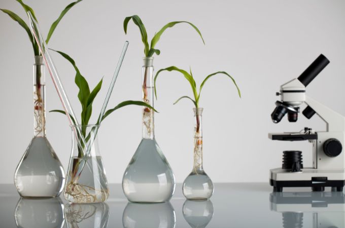 जैव उर्वरक के प्रकार - Types of Biofertilizers in Hindi 