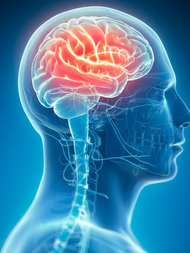 दिमाग को कंप्यूटर सा तेज बनाते हैं यह 10 सुपरफूड्स – superfoods to boost your brain power in Hindi