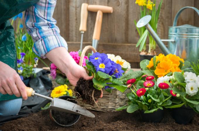 गर्मियों में पौधे उगाने के टिप्स - Tips For Growing Plants In Summer Garden In Hindi 