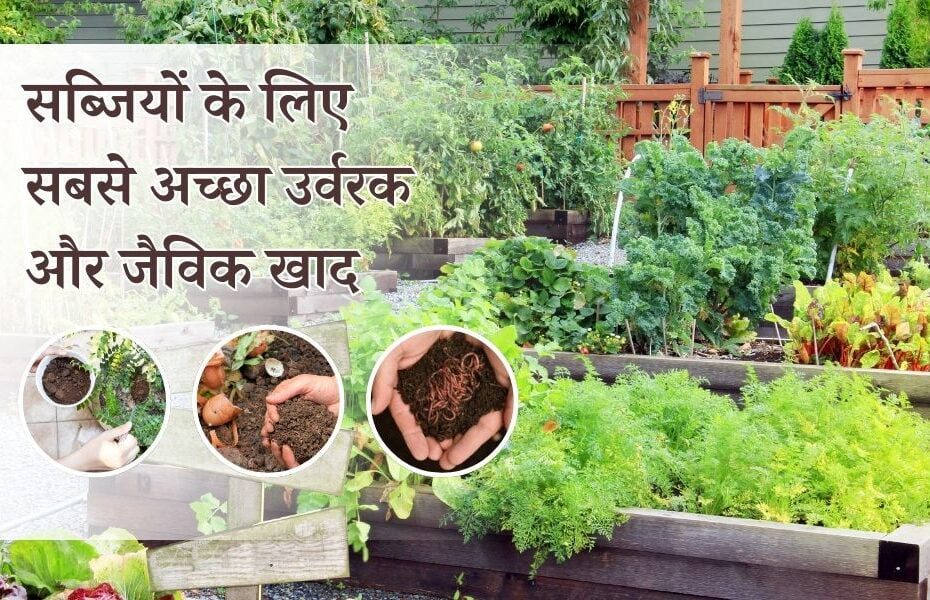सब्जियों के लिए सबसे अच्छा उर्वरक और जैविक खाद - Best Organic Fertilizer For Vegetable Plants In Hindi 