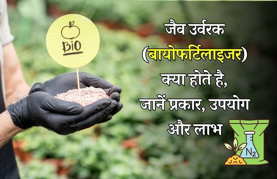 जैव उर्वरक (बायोफर्टिलाइजर) क्या होते है, प्रकार, उपयोग और लाभ - What is Biofertilizers, Types, Uses and Benefits in Hindi 