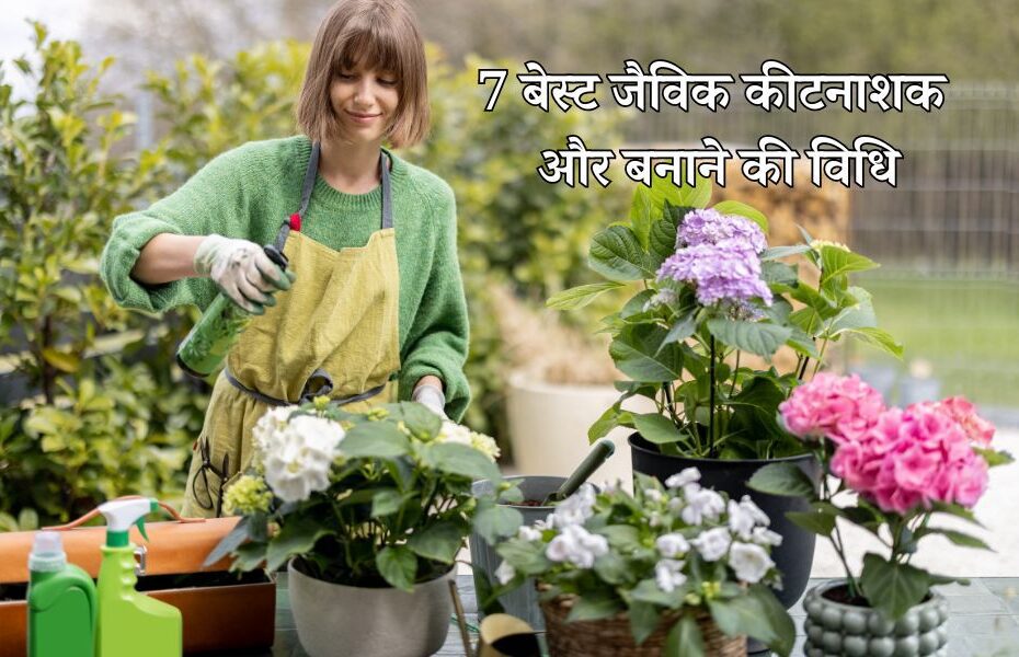 जैविक कीटनाशक क्या हैं, इन्हें घर पर कैसे तैयार करें? - Organic Pesticides for Plants in Hindi