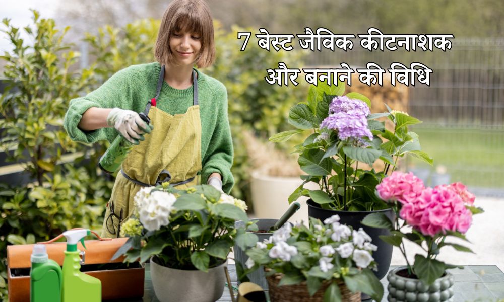 जैविक कीटनाशक क्या हैं, इन्हें घर पर कैसे तैयार करें? - Organic Pesticides for Plants in Hindi