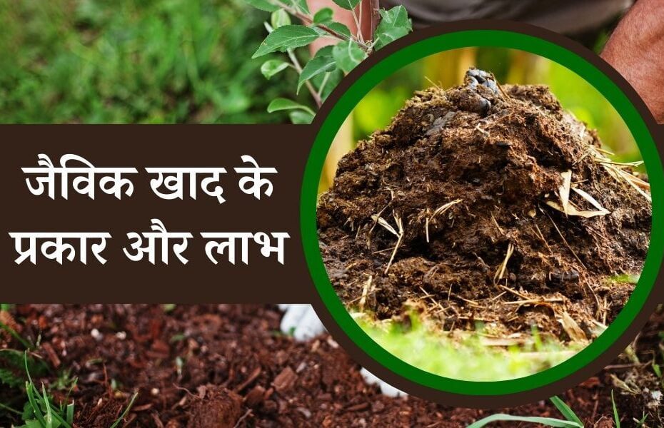 जैविक खाद क्या होती है, इसके प्रकार और लाभ - What Is Organic Manure, Types And Advantages In Hindi 