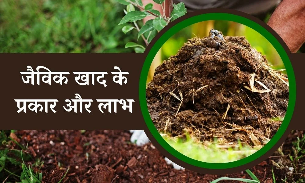 जैविक खाद क्या होती है, इसके प्रकार और लाभ - What Is Organic Manure, Types And Advantages In Hindi 
