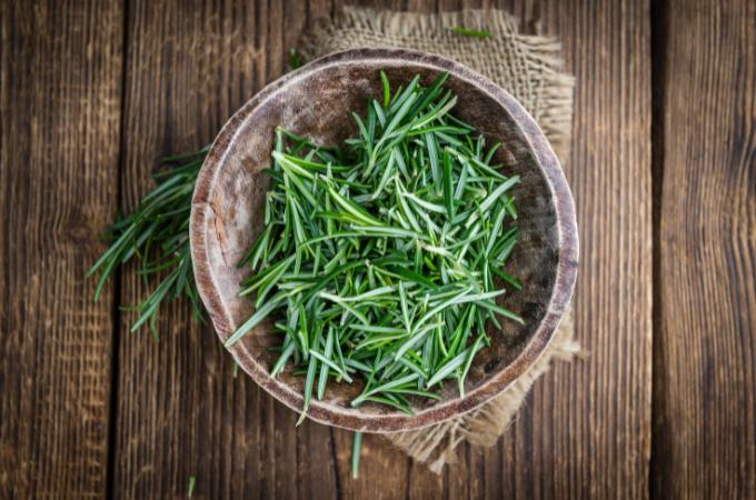 रोजमैरी - Rosemary Is Good Herb For Control Sugar level In Hindi 