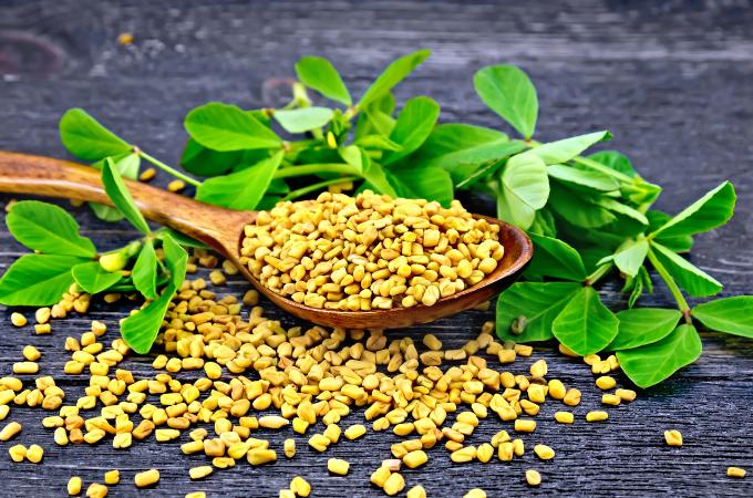 शुगर नियंत्रण के लिए मेथी - Fenugreek For Control Blood Sugar In Hindi