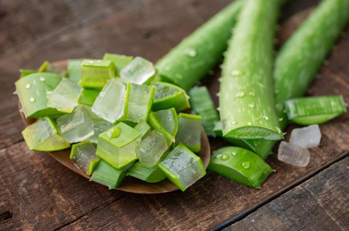 एलोवेरा - Aloe Vera Is Powerful Herb For Control blood sugar In Hindi 