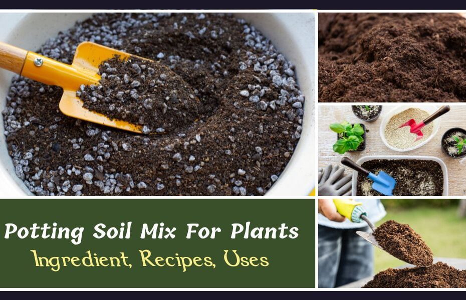 How To Make Potting Soil Mix At Home: Mixture Ratio, Use