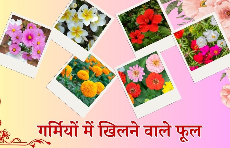 गर्मियों में खिलने वाले फूल - Summer Flowering Plants In India In Hindi