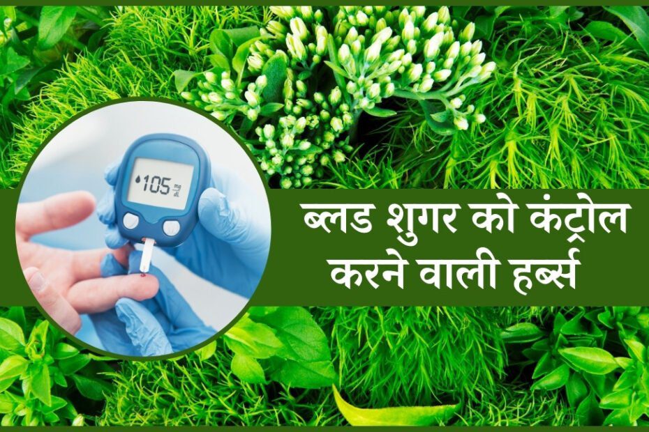 ब्लड शुगर लेवल को कम करने के लिए 7 आयुर्वेदिक हर्ब - Ayurvedic Herbs Are Good For Lowering Blood Sugar In Hindi