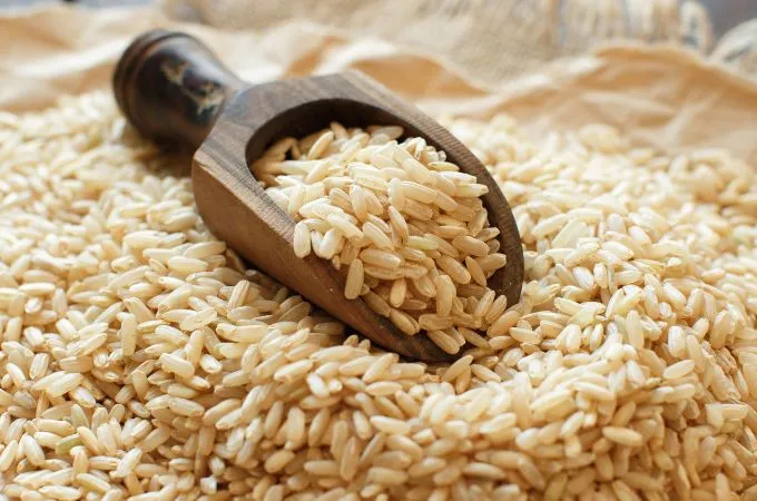 एकबीजपत्री बीज - Monocotyledon Seeds Is The First Types Of Seeds In Hindi 
