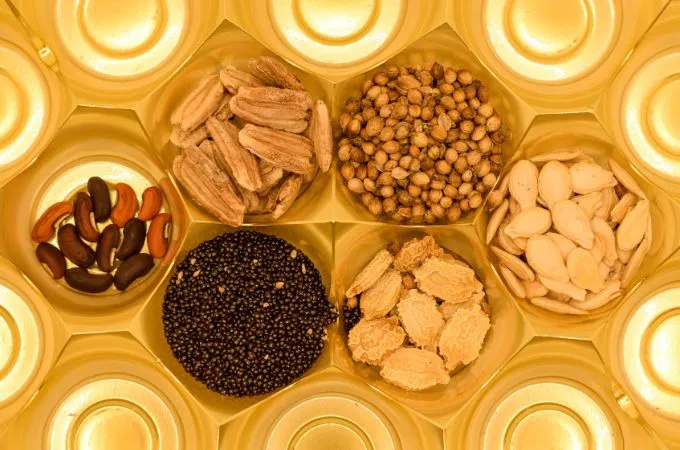 द्विबीजपत्री बीज - Dicotyledon Seeds Is Second Types Of Seeds In Hindi