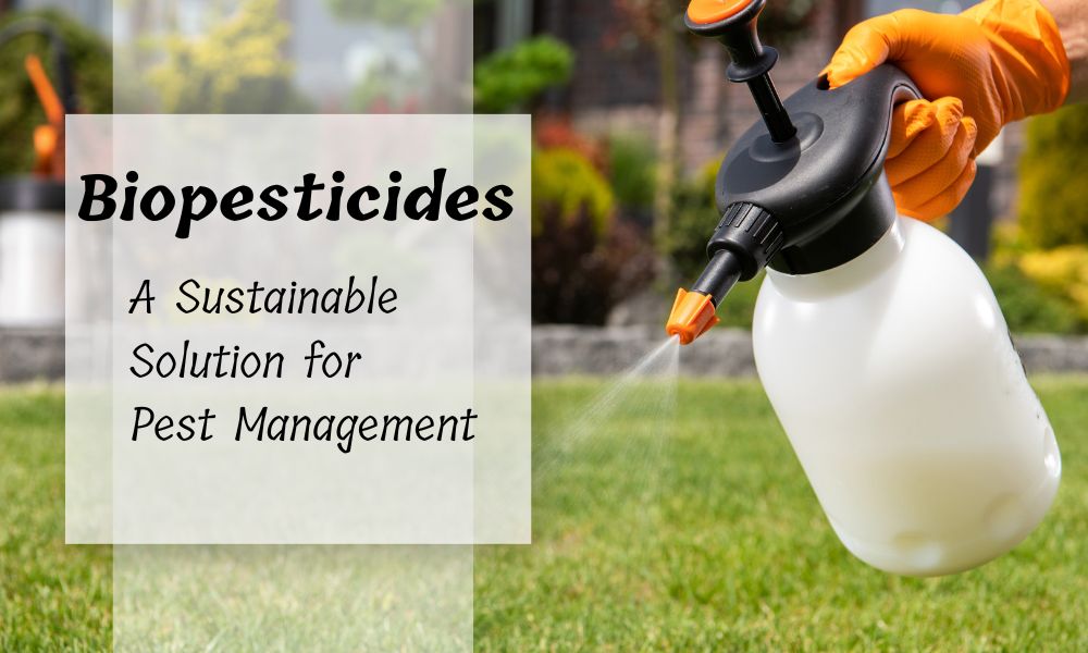 Biopesticides: A Sustainable Solution for Pest Management