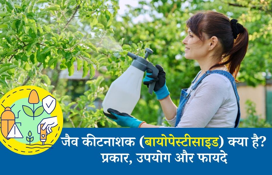 जैव कीटनाशक (बायोपेस्टीसाइड) क्या है? प्रकार, उपयोग और फायदे - What are Biopesticides, Types, Importance, Uses in Hindi