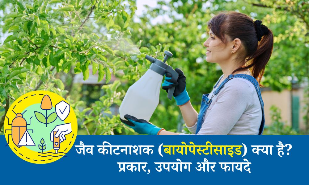 जैव कीटनाशक (बायोपेस्टीसाइड) क्या है? प्रकार, उपयोग और फायदे - What are Biopesticides, Types, Importance, Uses in Hindi