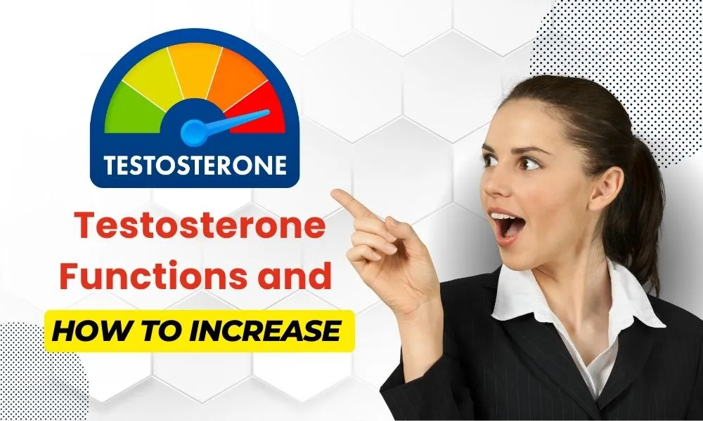 Testosterone: What is Functions and How to Increase