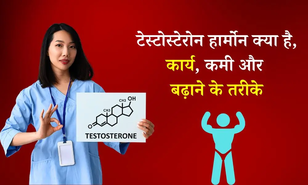 टेस्टोस्टेरोन हार्मोन क्या है, कार्य, कमी और बढ़ाने के तरीके - What is Testosterone in Hindi