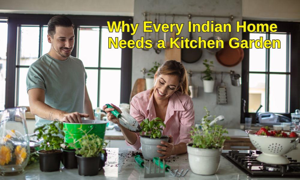 Why Every Indian Home Needs a Kitchen Garden